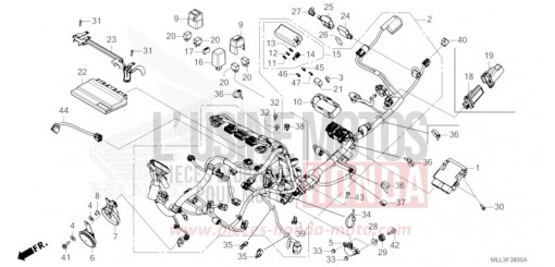 FAISCEAU DES FILS CB1000S de 2025